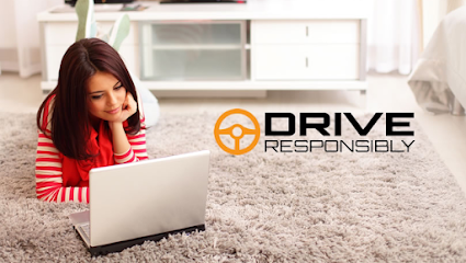 Access Granted (Online) Traffic School