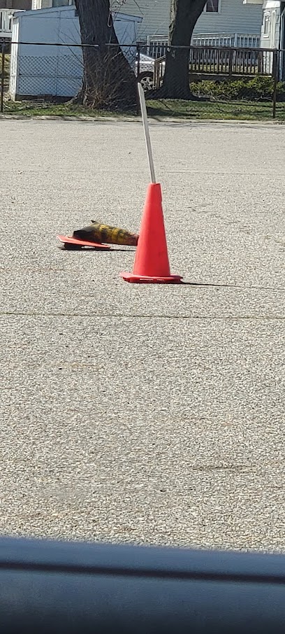 Capitol Area Driving Test Site