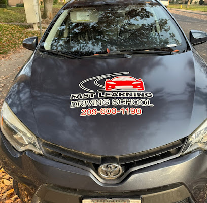 Fast Learning Driving School